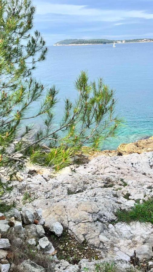 Villa Claudia Beach Apartment Premantura Dış mekan fotoğraf